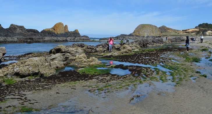 Seal Rock State Recreation Site Oregon State Parks And Recreation